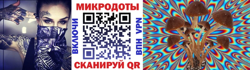 mega сайт  Мытищи  Псилоцибиновые грибы мицелий  купить  